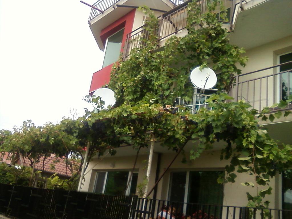 Villa Sunny Hill Fish Fish Buitenkant foto